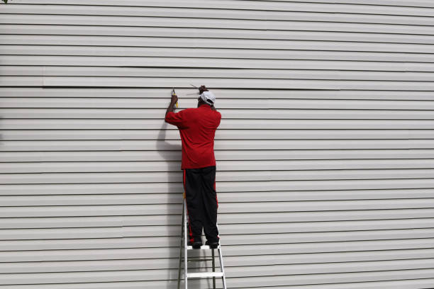 Best Stucco Siding  in Three Rivers, MI