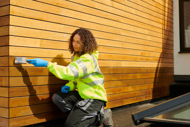 Best Brick Veneer Siding  in Three Rivers, MI